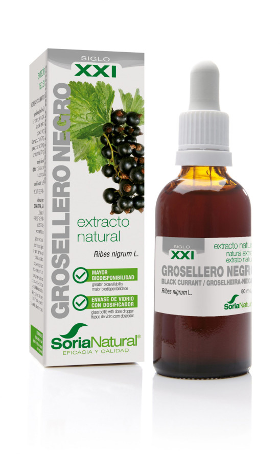 Ribes nigrum XXI extract van Soria Natural (50ml)